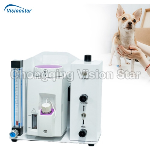 VVM8L Veterinary Anesthesia Workstation