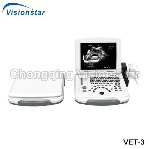 VET-3 2D M32 Black & White Portable Laptop Vet Ultrasound Machine