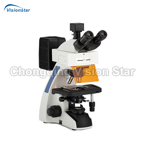 LBM2000B , LBM2000T Fluorescence Microscope