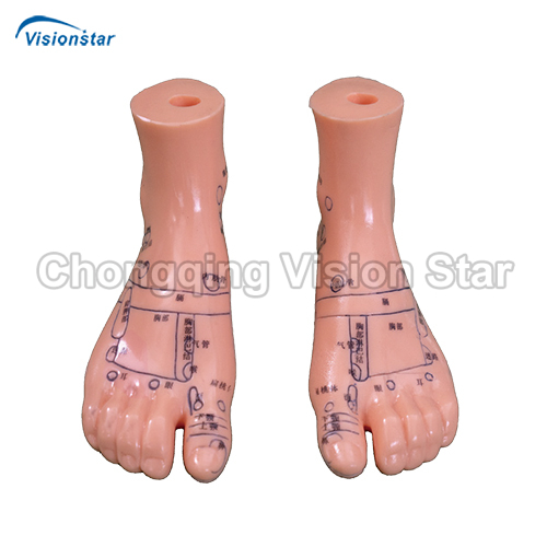 AAC515B Massage Foot Model 12CM