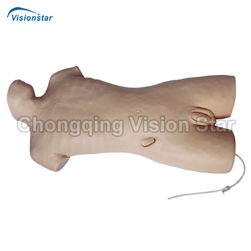 AMT464A Whole Body Abdominal Puncture Model