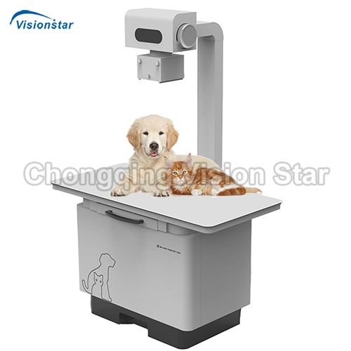 VXR32A Veterinary Floor-mounted DR Machine