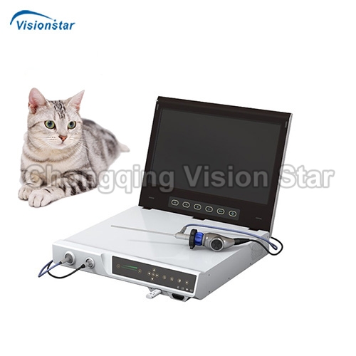 VED01 Veterinary Endoscope Camera System