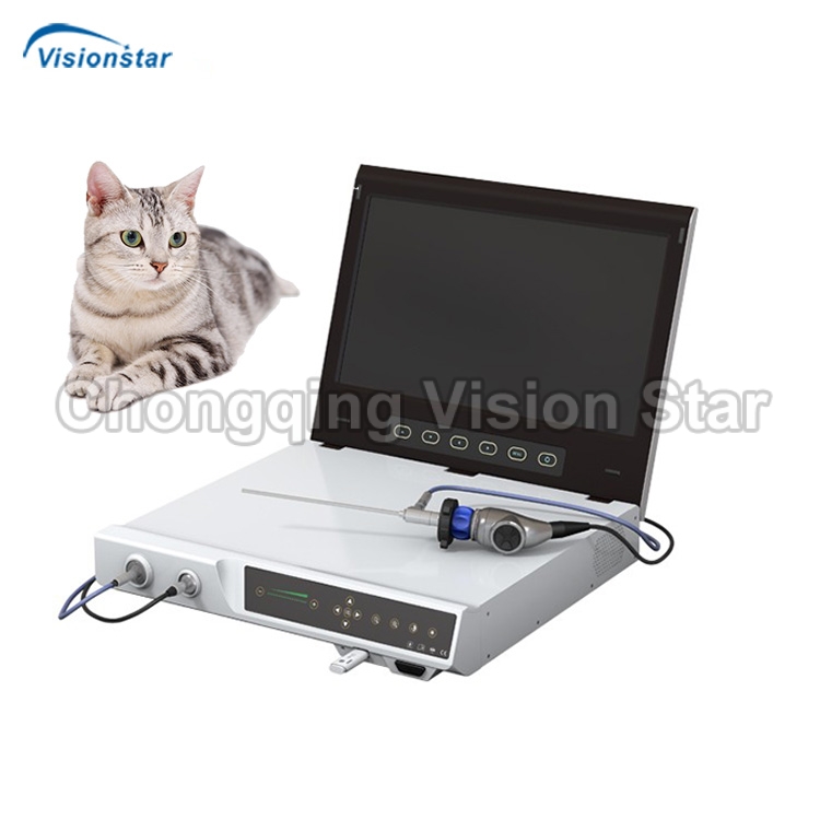 VED01E Veterinary Endoscope Camera System