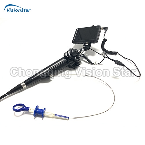 VED200P Video VET Endoscope