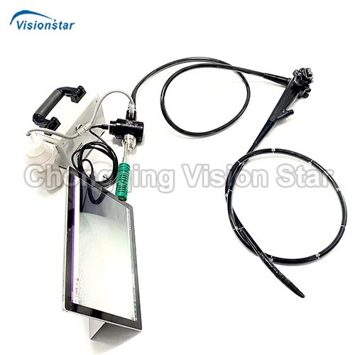 VED20P Video VET Endoscope