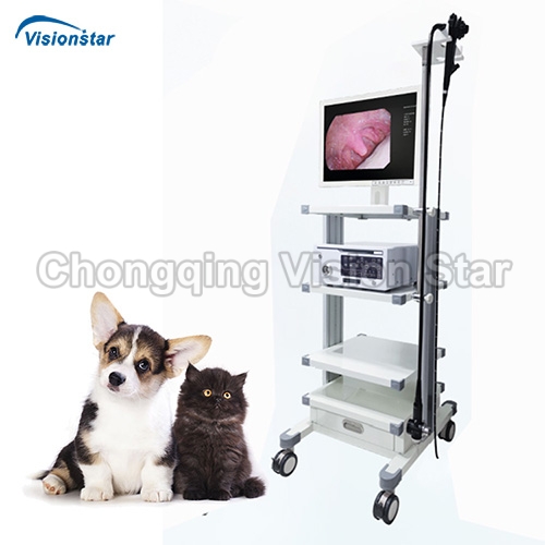 VED800 Veterinary Endoscope System