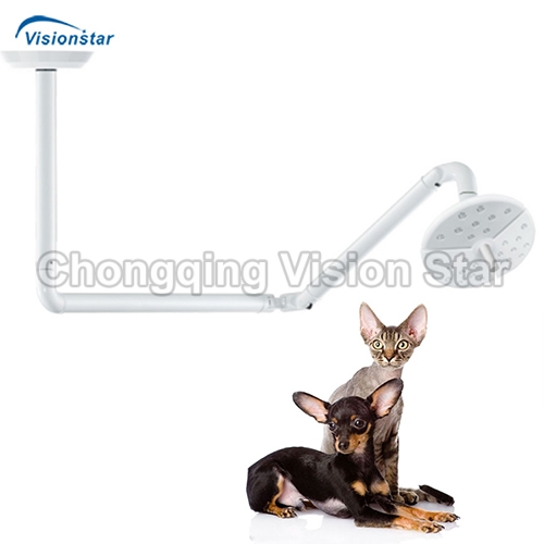 VSL18D Ceiling Operation Light