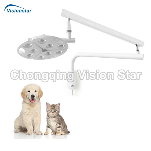 VSL9D Ceiling Operation Light