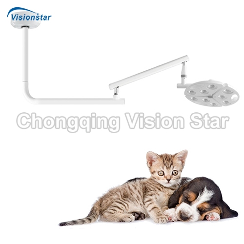 VSL9D Ceiling Operation Light