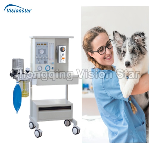 VVM01BS Veterinary Anesthesia Workstation