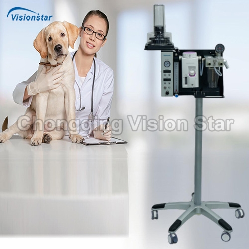 VVM200V3 Veterinary Anesthesia Workstation