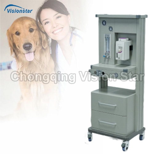 VVM7V Veterinary Anesthesia Workstation