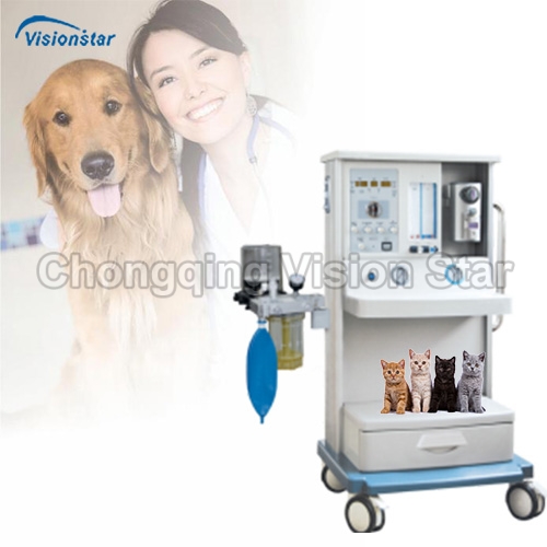 VVM01E Veterinary Anesthesia Workstation