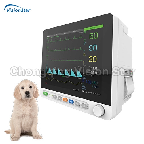 VCA2012V Veterinary Monitor