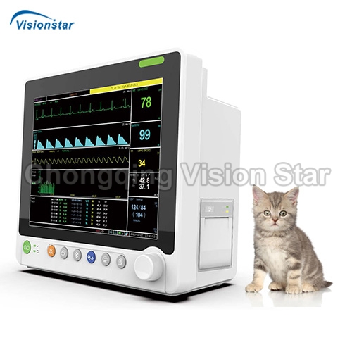 VCA6000V Veterinary Monitor