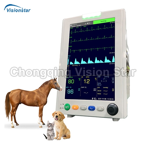 VCA800V Veterinary Monitor