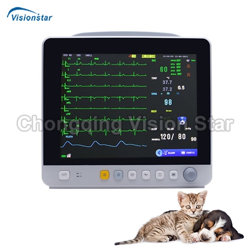 VCAE12 Veterinary Monitor