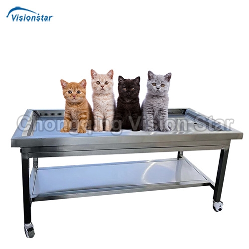 VSP5OT Animal Dissecting Table