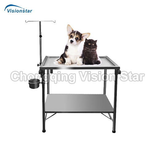 VSP6C Simple Diagnosis and Treatment Table