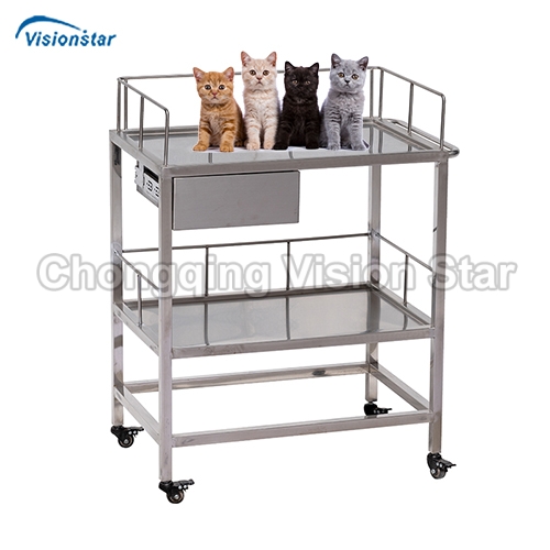 VTY01 Stainless Steel Trolley