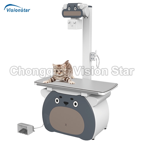 VXR32B Classic Stationary DR for Veterinary