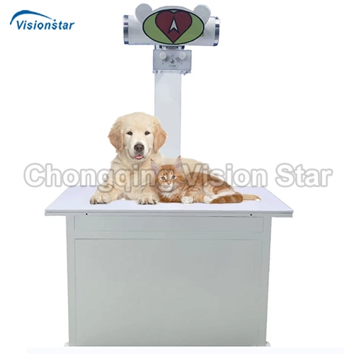 VXRSTAR Floor-mounted DR Machine