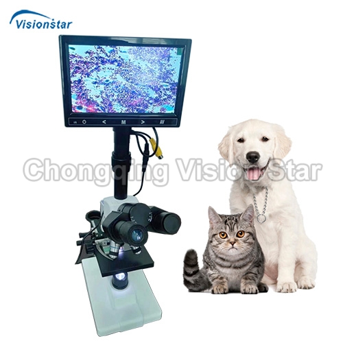 VLM11 Veterinary Biological Microscope