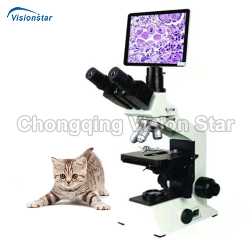 VLM80T Veterinary Biological Microscope